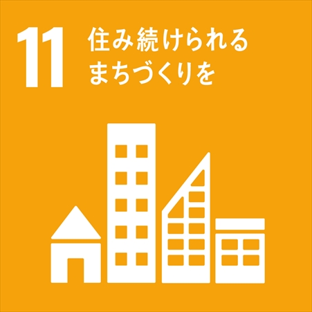 SDG's 11